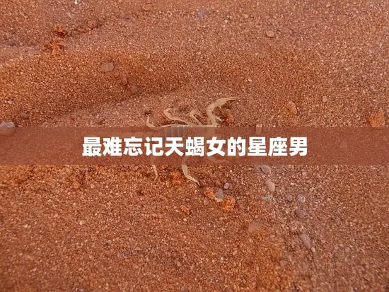 最难忘记天蝎女的星座男(深入探究天蝎女的心理与情感)