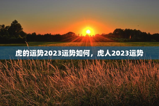 虎的运势2023运势如何，虎人2023运势