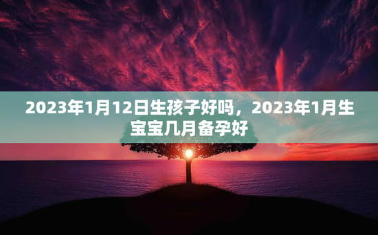 2023年1月12日生孩子好吗，2023年1月生宝宝几月备孕好