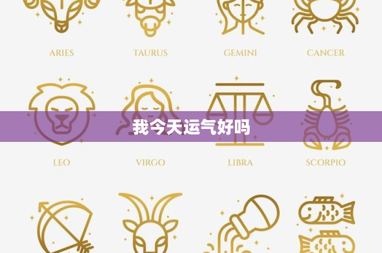 我今天运气好吗：早起者的秘密揭晓