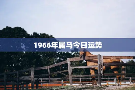 1966年属马今日运势(顺境如意财运亨通)