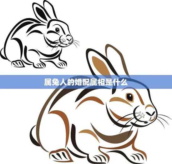 属兔人的婚配属相是什么(如何选择最佳配偶)