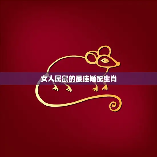 女人属鼠的最佳婚配生肖(揭秘哪些生肖最适合与鼠女缘定一生)