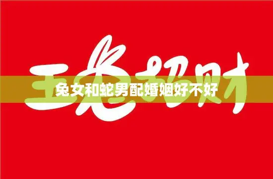 兔女和蛇男配婚姻好不好(如何看待这种组合)