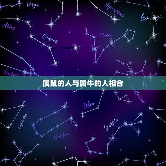 属鼠的人与属牛的人相合