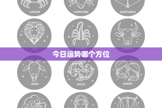 今日运势哪个方位：东方财源骤变警惕理智投资