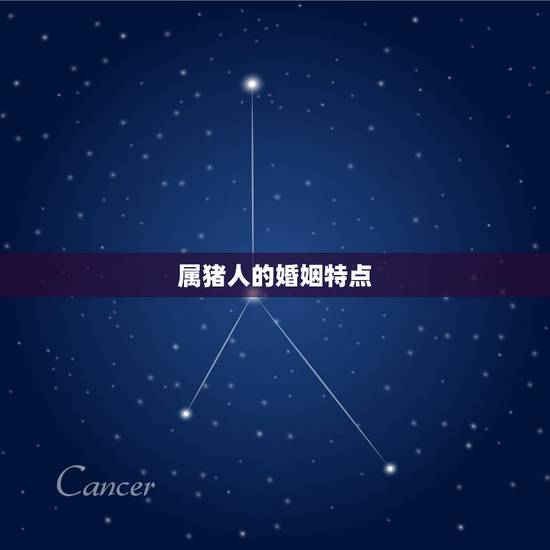 属猪人的婚姻特点
