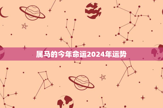 属马的今年命运2024年运势：性格暴走还是事业飞跃？