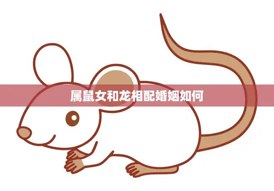 属鼠女和龙相配婚姻如何(幸福美满的秘诀)
