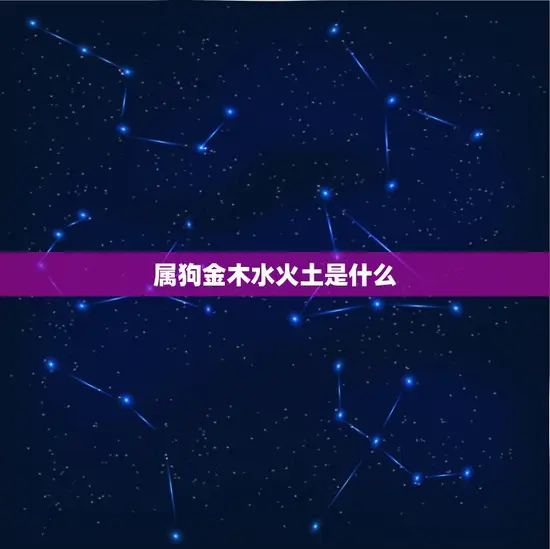 属狗金木水火土是什么