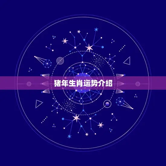 猪年生肖运势介绍