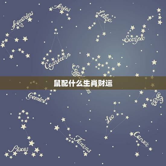 鼠配什么生肖财运