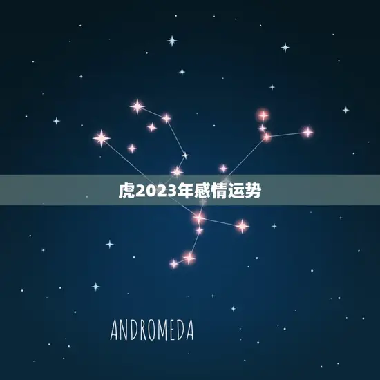 虎2023年感情运势