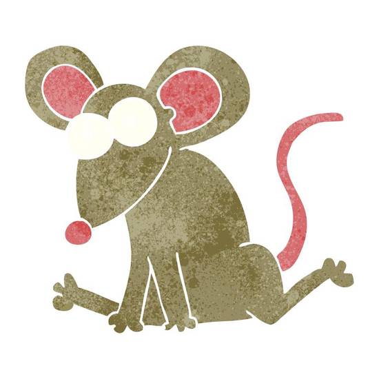 1948年老鼠今年多大(回顾中国历史探究老鼠年的神秘之处)