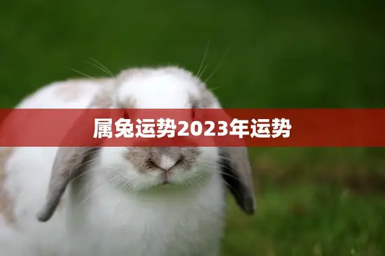 属兔运势2023年运势(兔子们迎来了新的机遇)