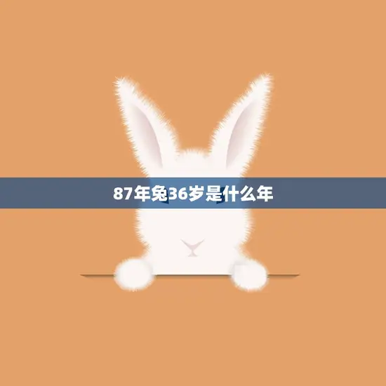 87年兔36岁是什么年(兔年人的岁数计算方法及其特点)