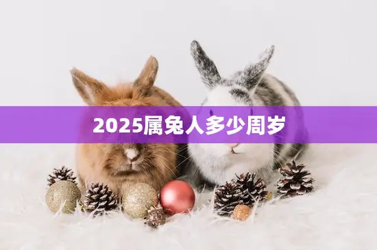 2025属兔人多少周岁(探究属兔人的年龄计算方法)
