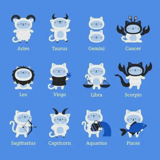 水瓶女社交需求