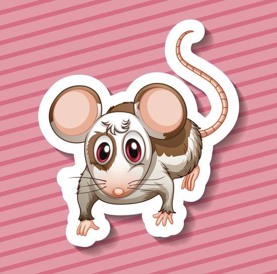 属狗与属鼠最配对男(解析属狗男与属鼠女的爱情契合度)