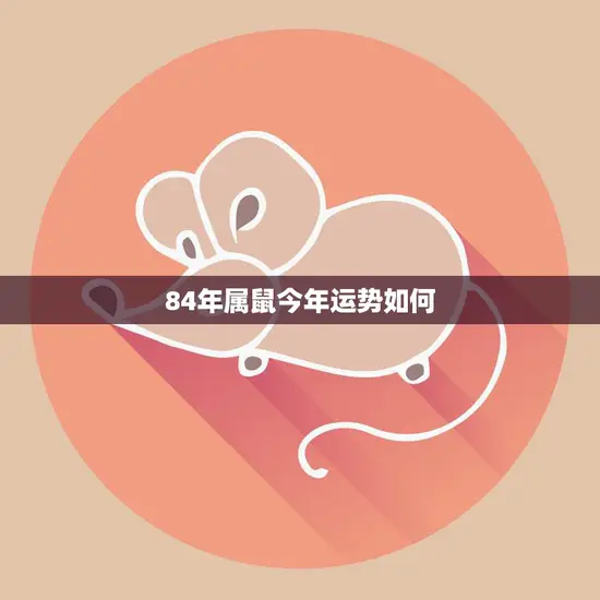 84年属鼠今年运势如何(幸运星照耀财运亨通)