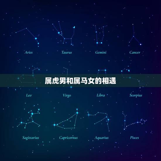 属虎男和属马女的相遇