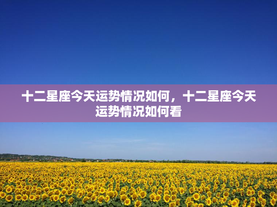 十二星座今天运势情况如何，十二星座今天运势情况如何看