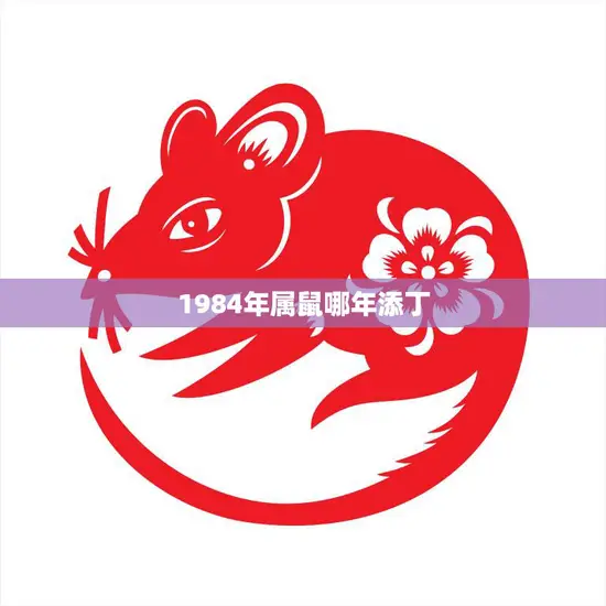 1984年属鼠哪年添丁(属鼠人的宝宝出生年份是什么)