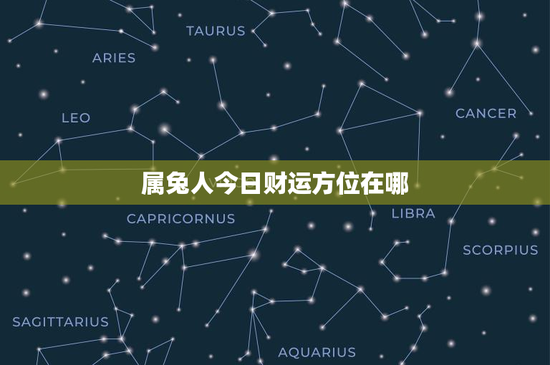 属兔人今日财运方位在哪：东南西北哪个方向藏着你的财气？