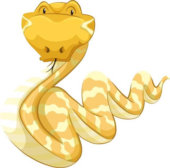 2023年5是什么生肖(揭秘2023年5月份的生肖属相)