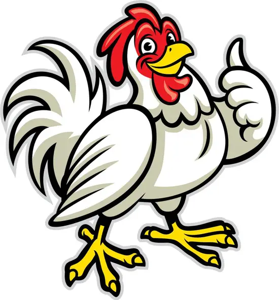 属狗鸡和什么属相最配对(完美配对指南)