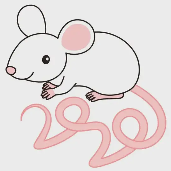 农历十二生肖年份对照表：2024生肖运势解析