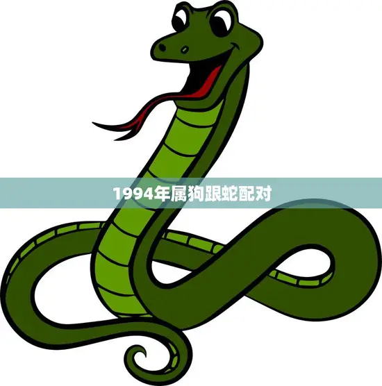 1994年属狗跟蛇配对(如何化解矛盾共同进步)
