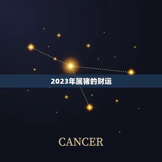 2023年属猪的财运