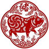 1971年属猪的多大岁数(猪年人的年龄计算方法解析)