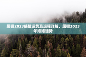 属猴2023感情运势及运程详解，属猴2023年婚姻运势