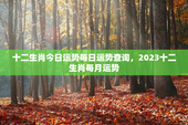十二生肖今日运势每日运势查询，2023十二生肖每月运势