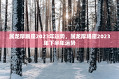 属龙摩羯座2023年运势，属龙摩羯座2023年下半年运势