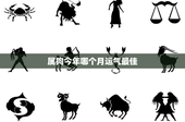 属狗今年哪个月运气最佳：属狗人2023年最幸运的月份，你猜是哪个？