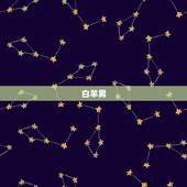 能受得了水瓶女的星座男(匹配大介绍)