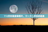 112月份星座表图片，十一十二月份的星座