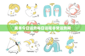 属羊今日运势每日运程非常运势网：惊喜连连，意外收入不断