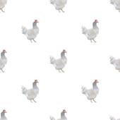 水墨先生属鸡的今天财运(预测财源滚滚财富不断涌现)