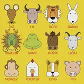 生肖婚配五行密码：3分钟看懂属相匹配原则