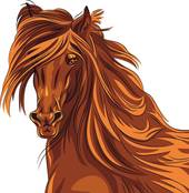 1978年属马白羊座男(性格特点与职业发展)