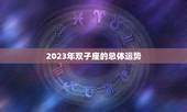 双子座星座运势2023(展望机遇与挑战并存)