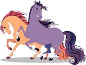 属马与什么属相合作最佳(如何选择最佳合作伙伴)