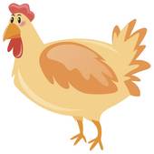 属鸡人五月份财运好不好(五月财富运势大揭秘)