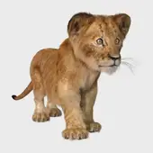 狮子座今日运势解读：精准分析守护星能量走向