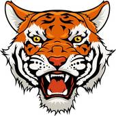 属虎人未来十年运势预测(猛虎崛起财运亨通)