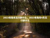 2023年兔年五行缺什么，2023年兔年4月五行缺什么